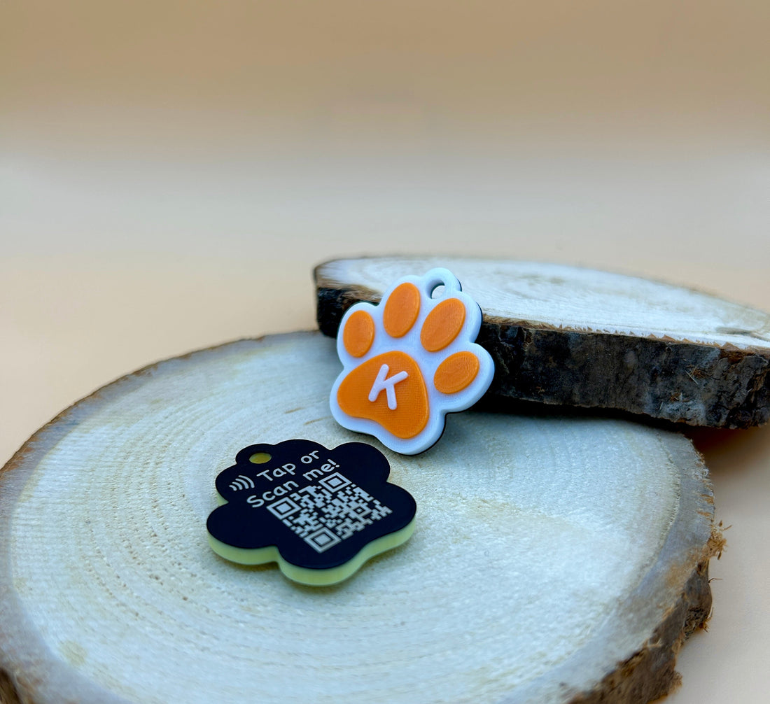 Why Smart Pet Tags Are the Future of Pet Safety