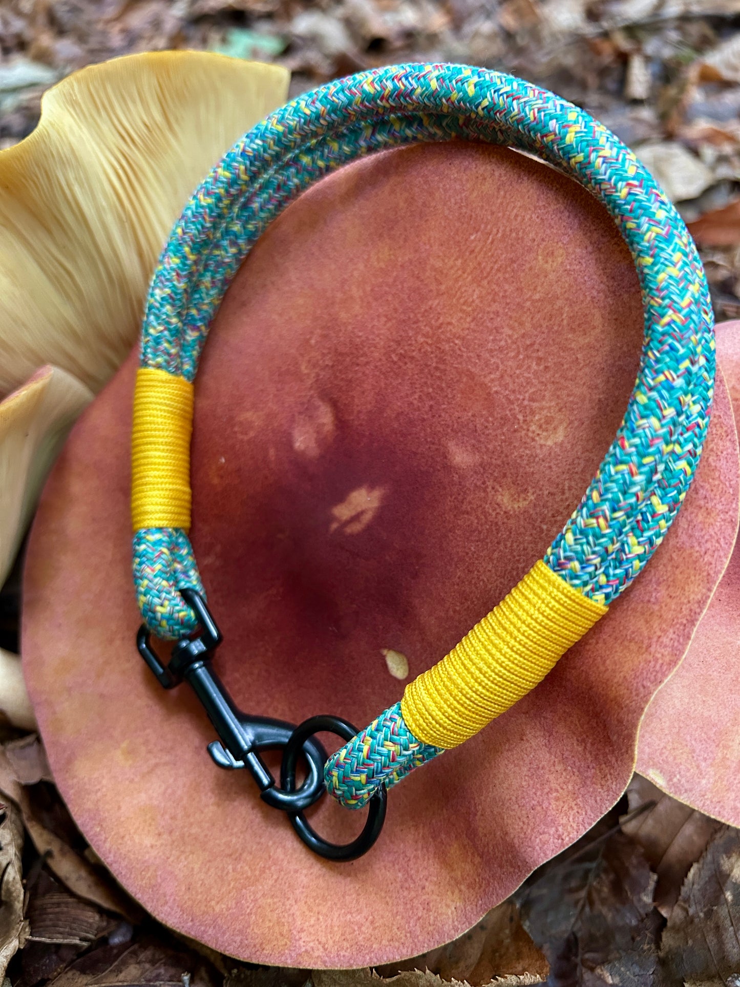 Smart ID Collar - Veyra