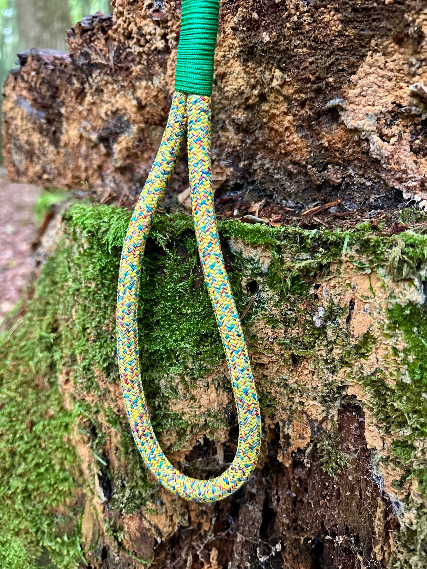 Paracord Leash - Lumith