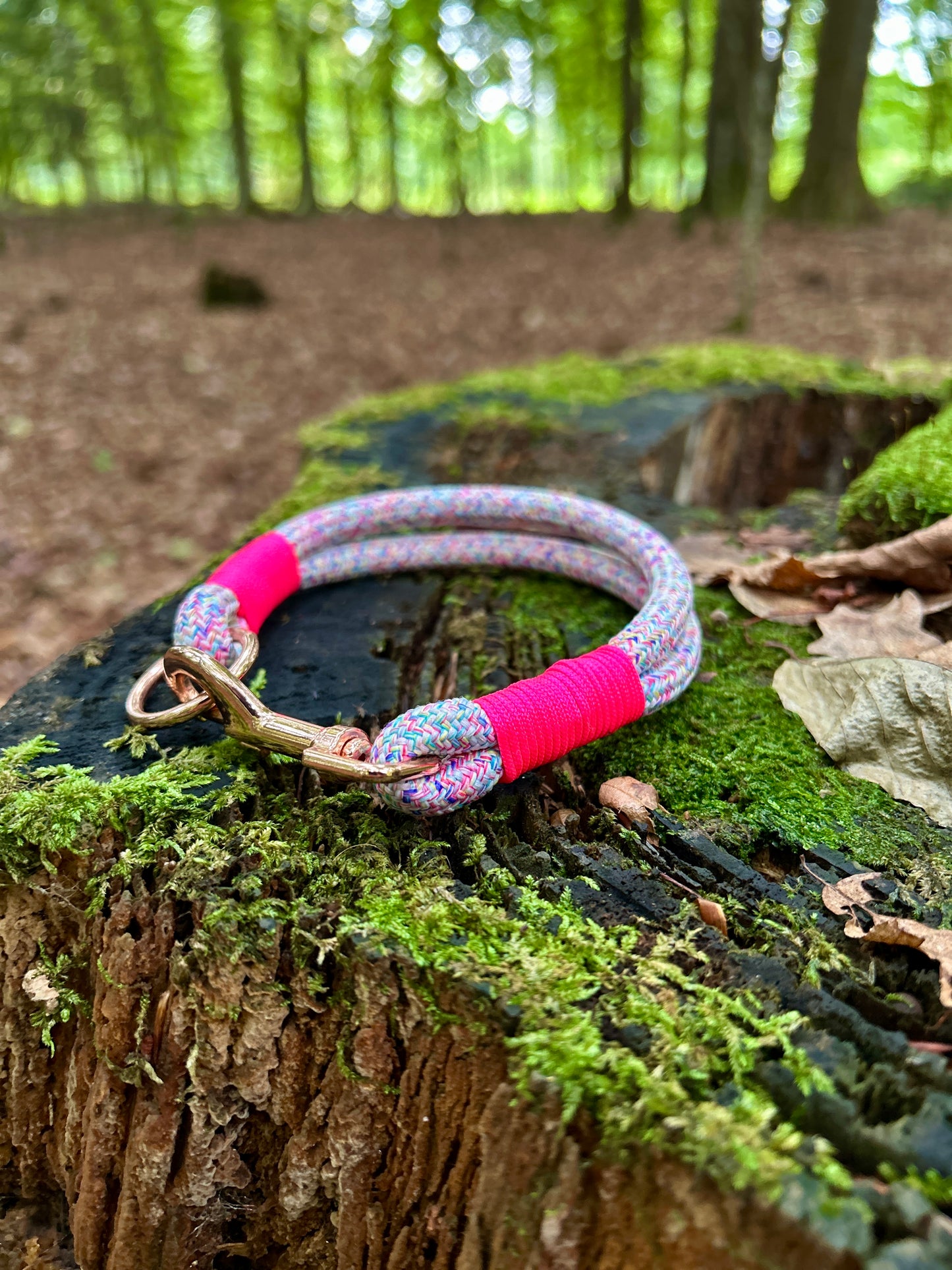 Smart ID Collar - Veyra