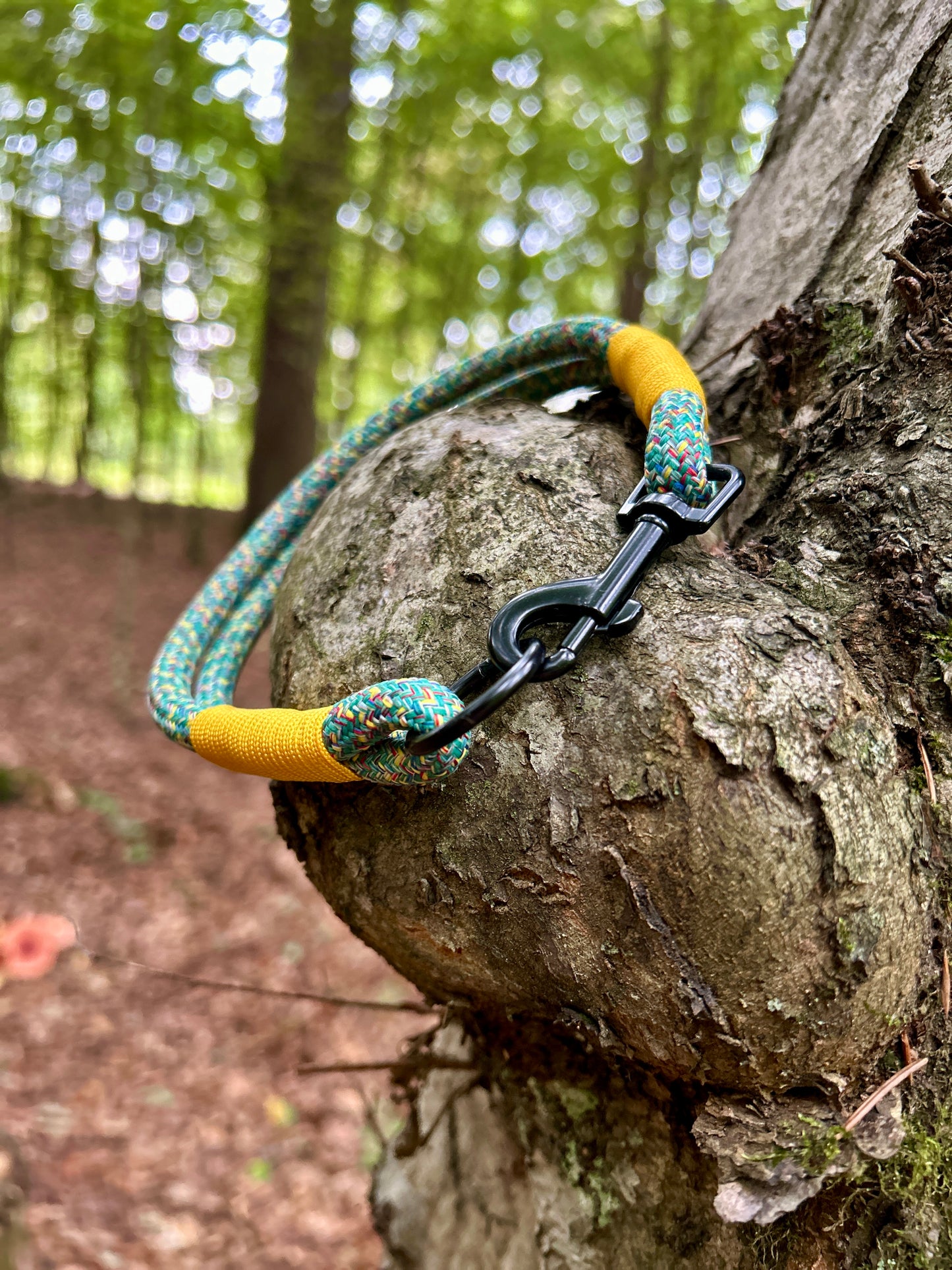 Smart ID Collar - Veyra