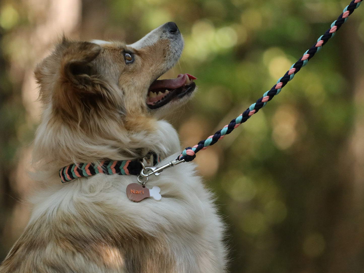 Smart ID Collar - Lumora