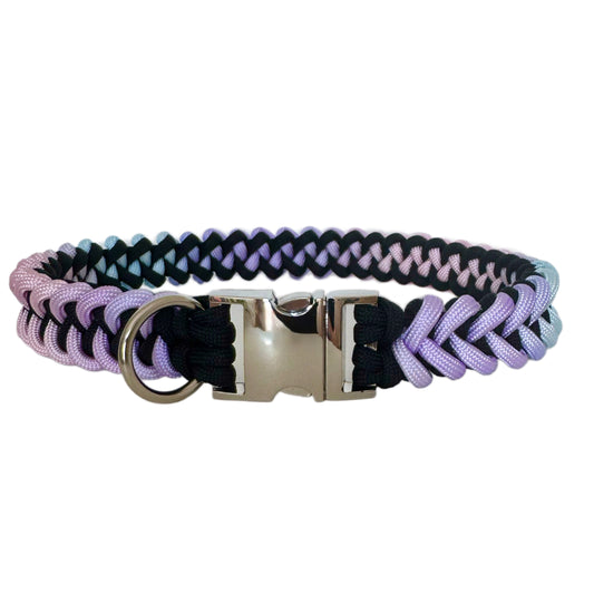 Smart ID Collar - Accira