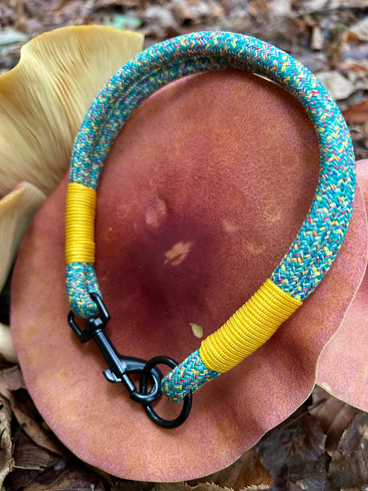 Smart ID Collar - Veyra