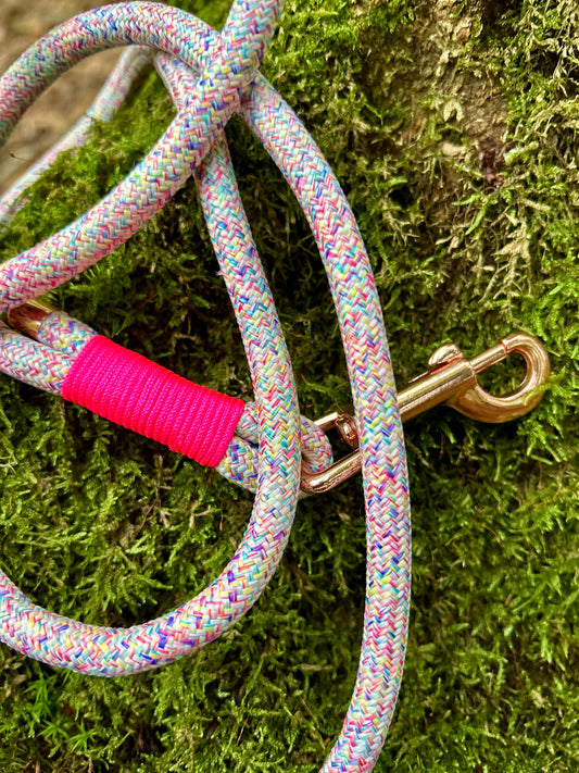 Paracord Leash - Lumith