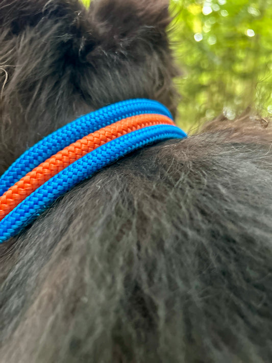 Smart ID Collar - Cordalis