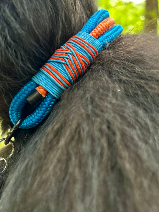 Smart ID Collar - Cordalis