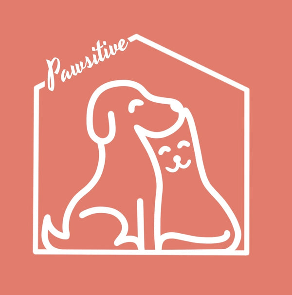Pawsitive Collar